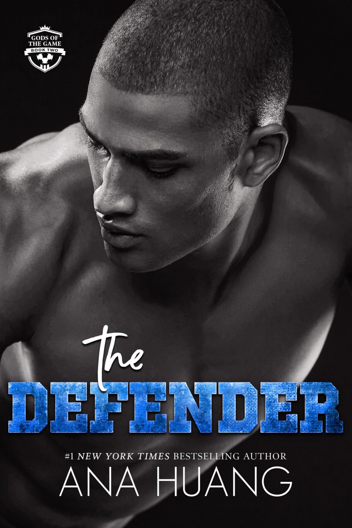 The Defender by Ana Huang Book Cover