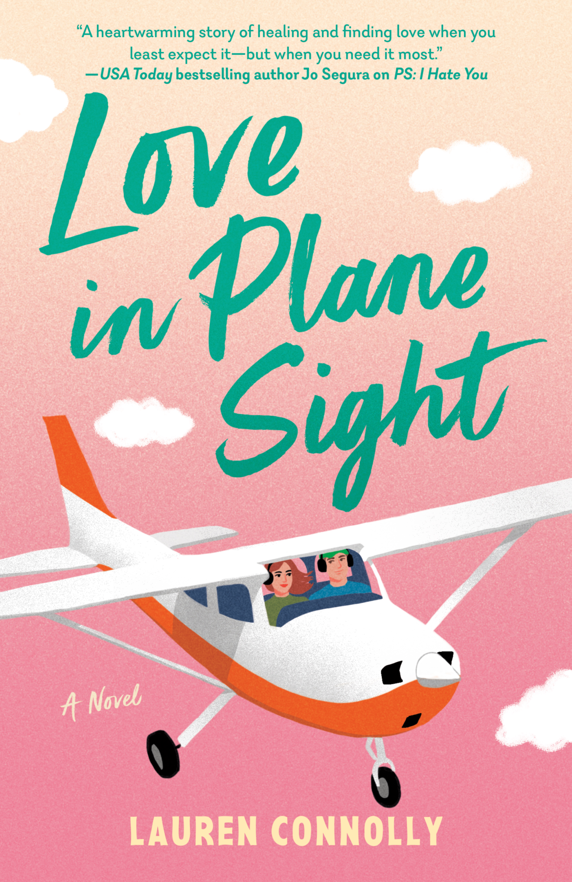 Love in Plane Sight Book Cover