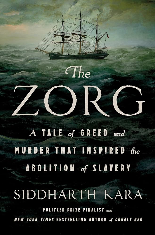 The Zorg by Siddharth Kara book cover
