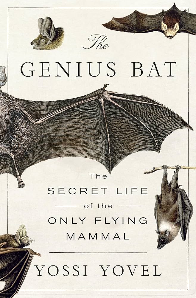 The Genius Bat by Yossi Yovel book cover