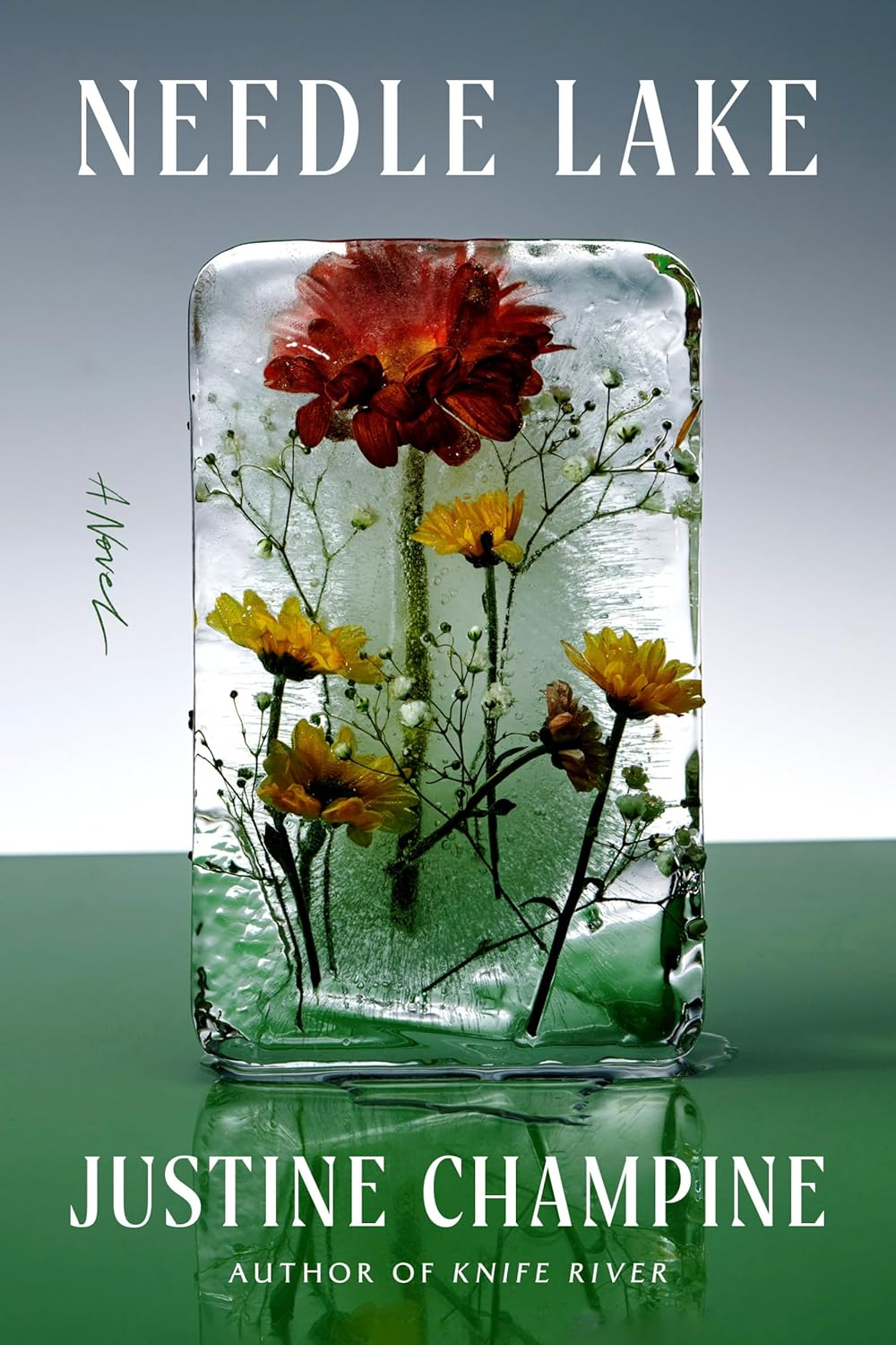 Needle Lake Book Cover