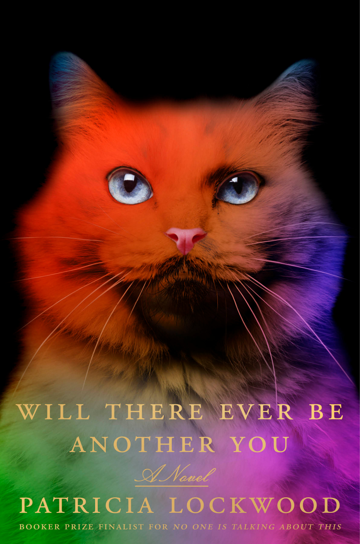 Book Cover of Will There Ever Be Another You — Patricia Lockwood