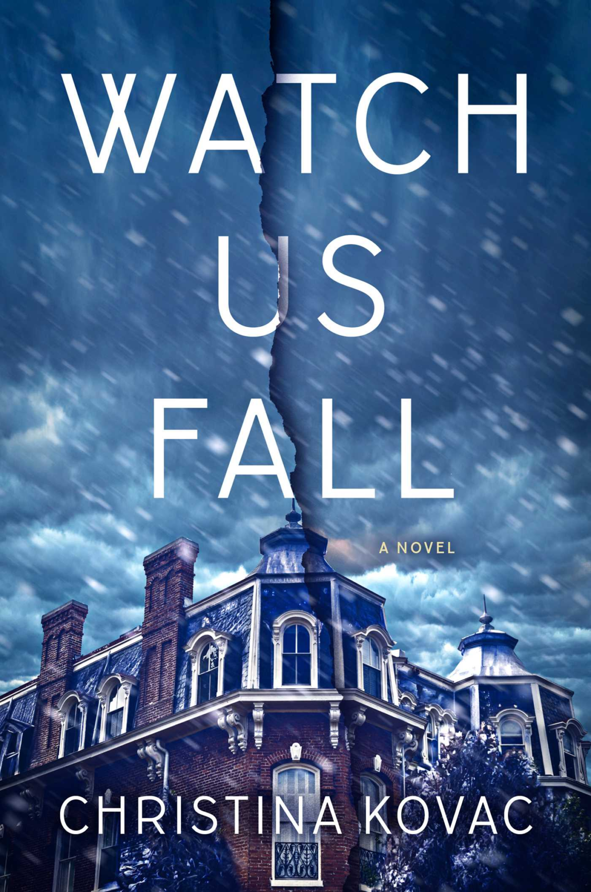 Watch Us Fall Book Cover