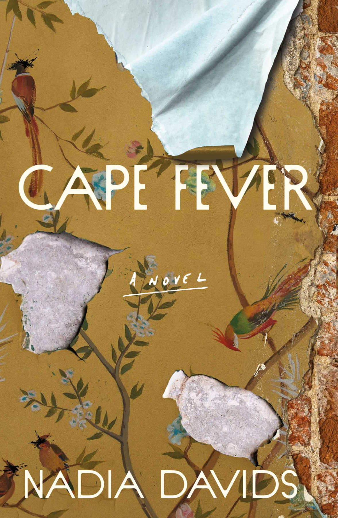 Cape Fever Book Cover