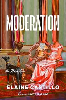Moderation by Elaine Castillo book cover