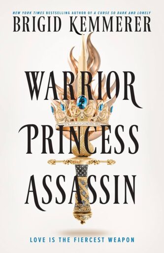 Warrior Princess Assassin by Brigid Kemmerer book cover