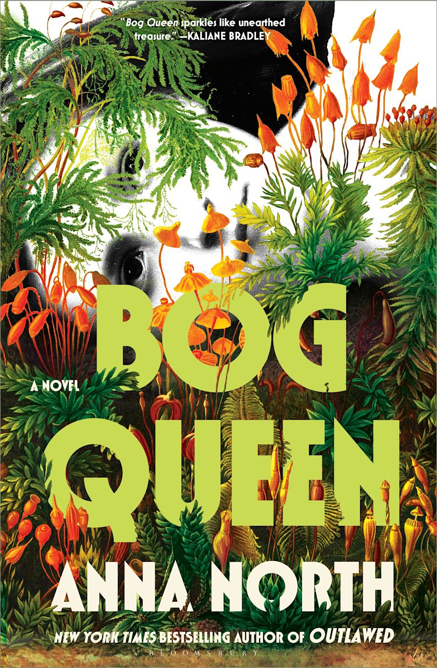 Bog Queen by Anna North book cover