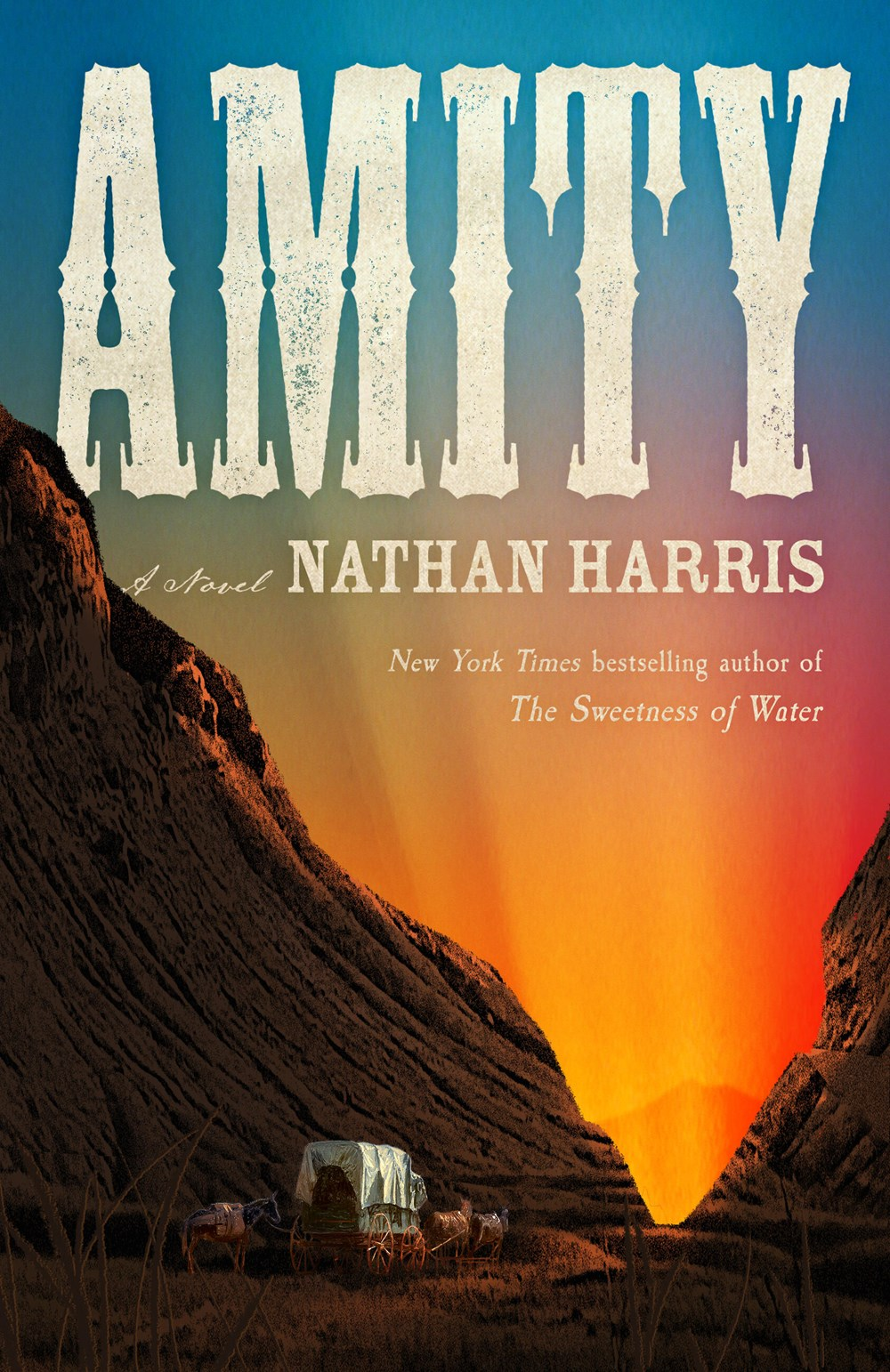 Book Cover of Amity — Nathan Harris