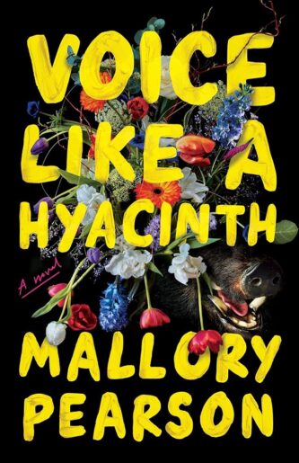 Voice Like a Hyacinth Summary, Characters and Themes book cover