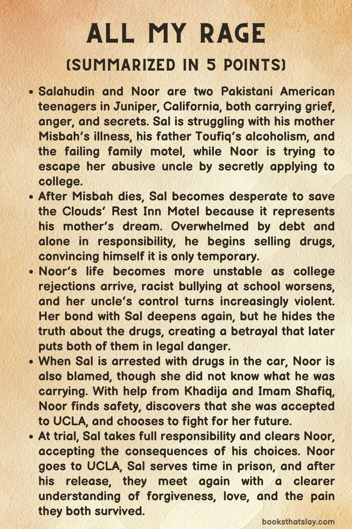 All My Rage Summary