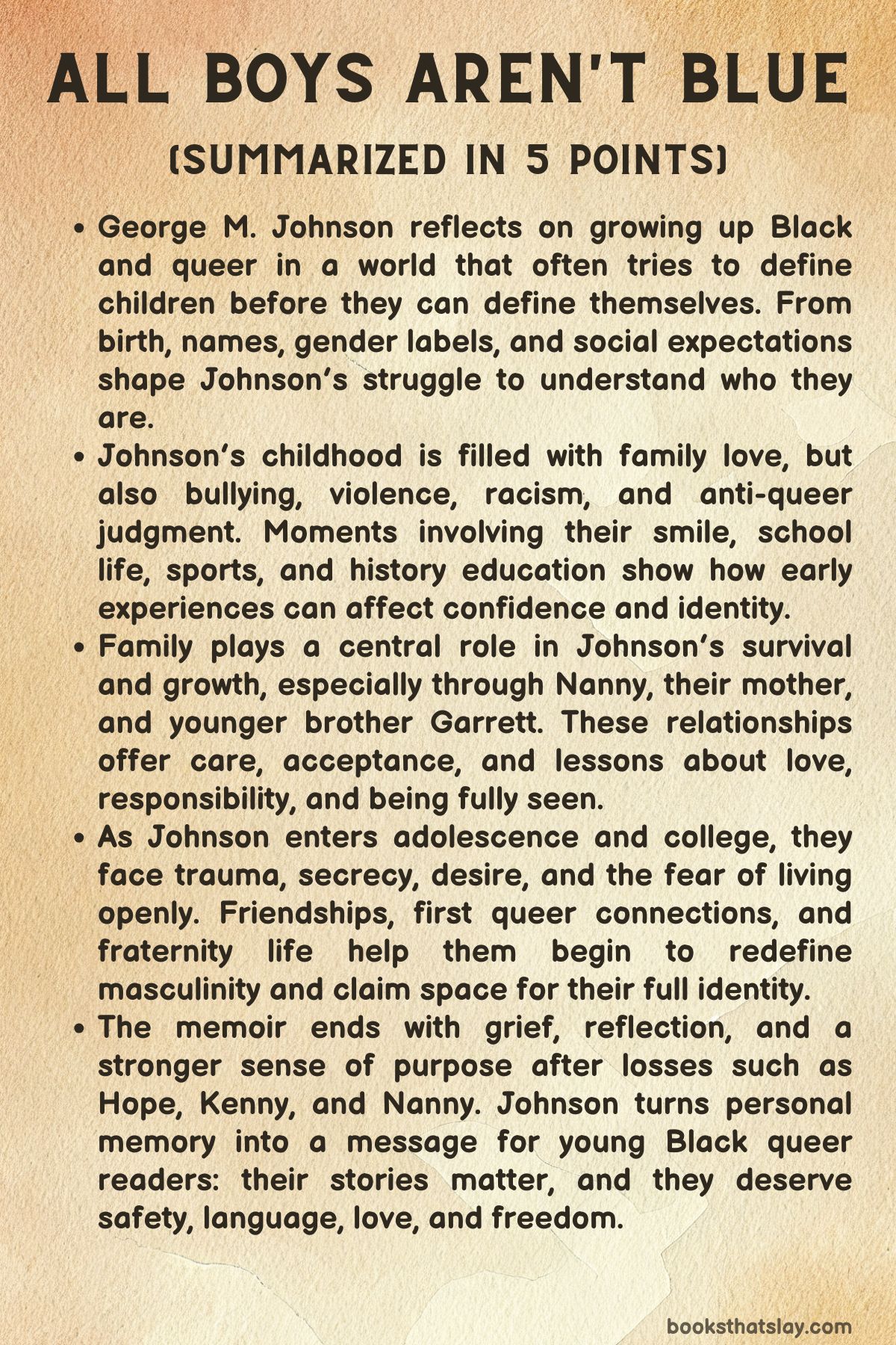 All Boys Aren't Blue Summary