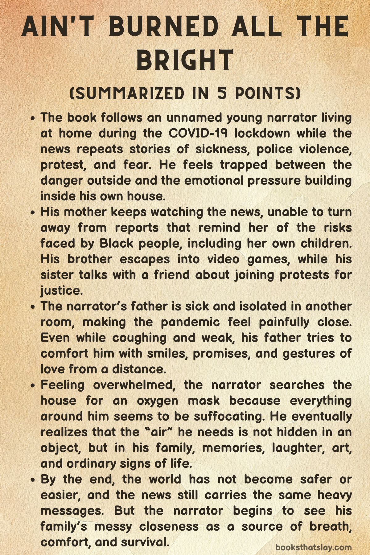 Ain't Burned All the Bright Summary