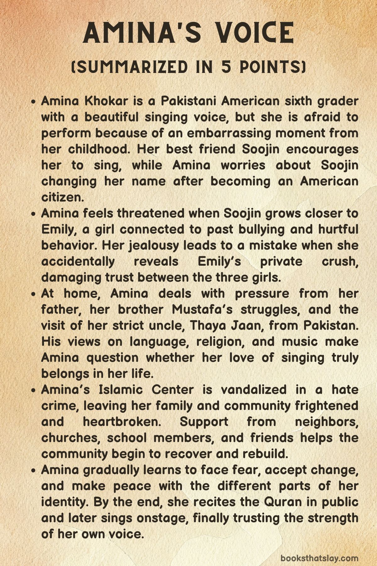 Amina's Voice Summary