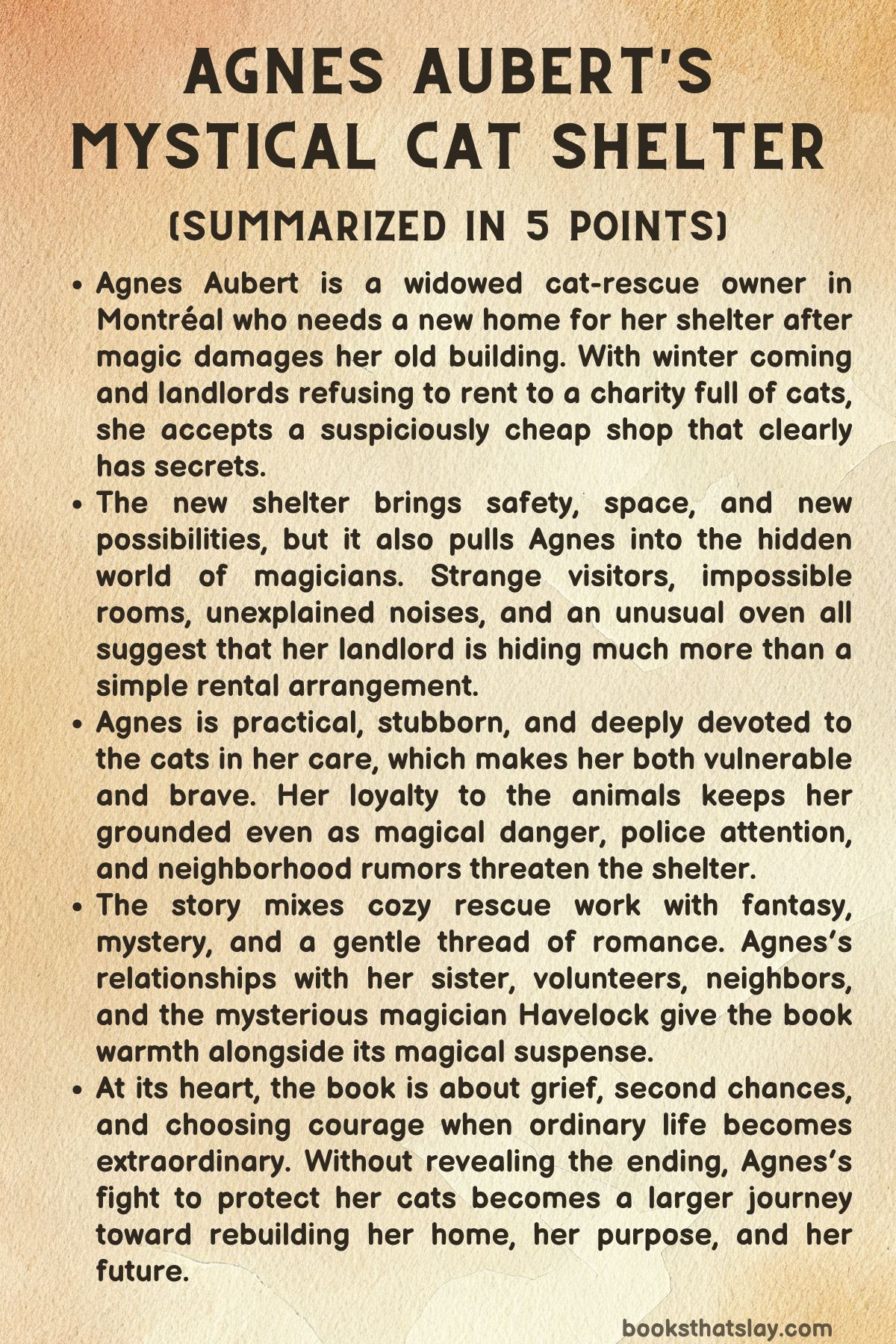 Agnes Aubert's Mystical Cat Shelter summary