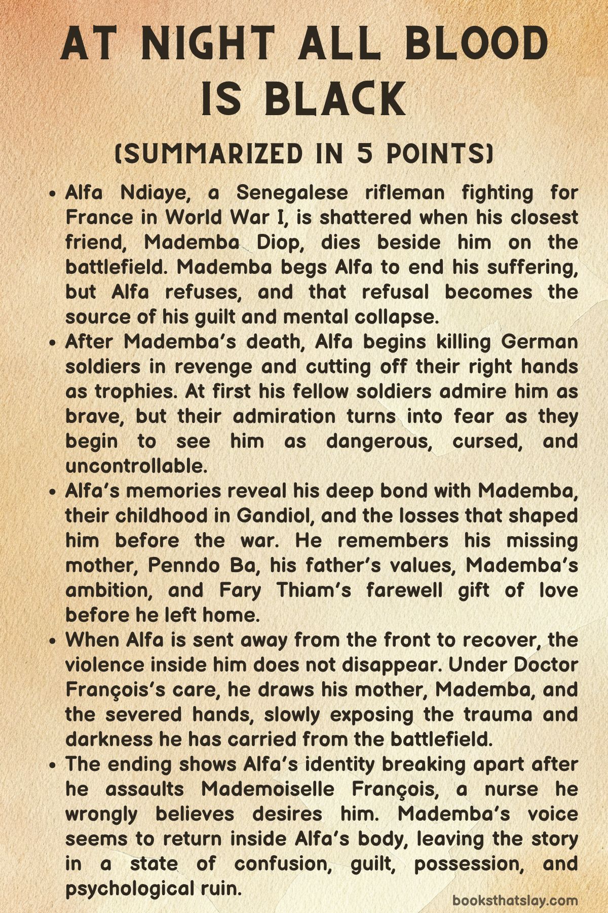 At Night All Blood Is Black Summary