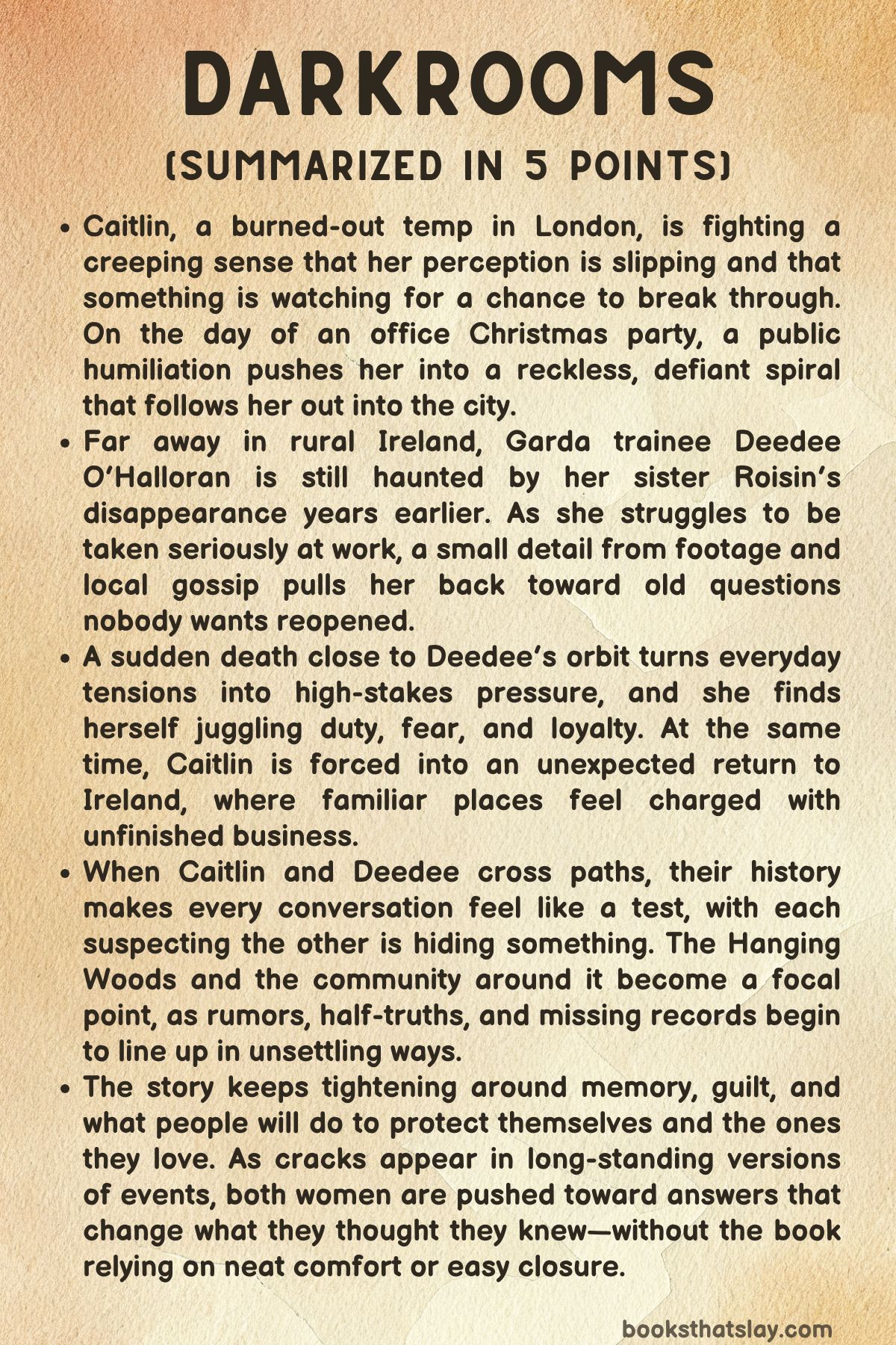 Darkrooms by Rebecca Hannigan Summary 