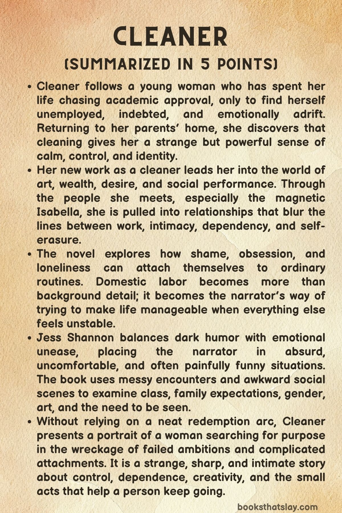 Cleaner by Jess Shannon Summary