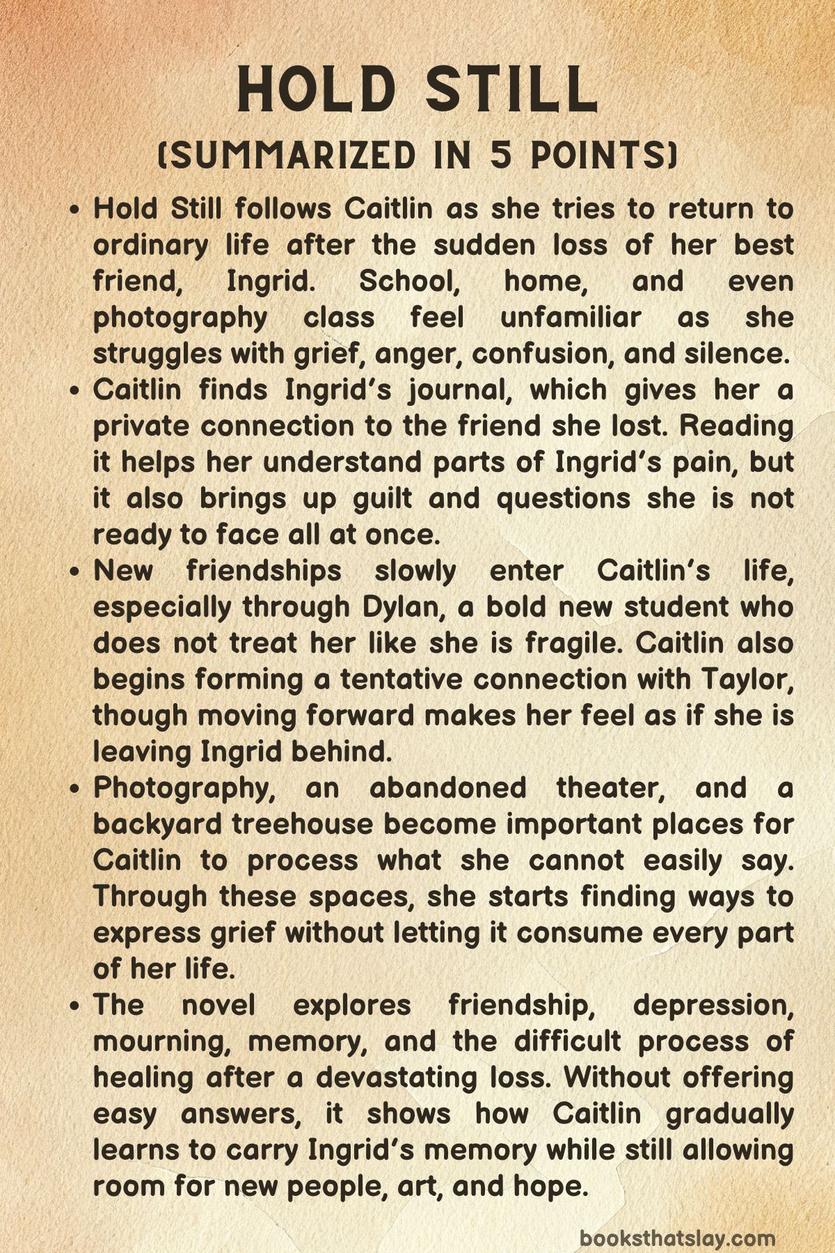 Hold Still Summary