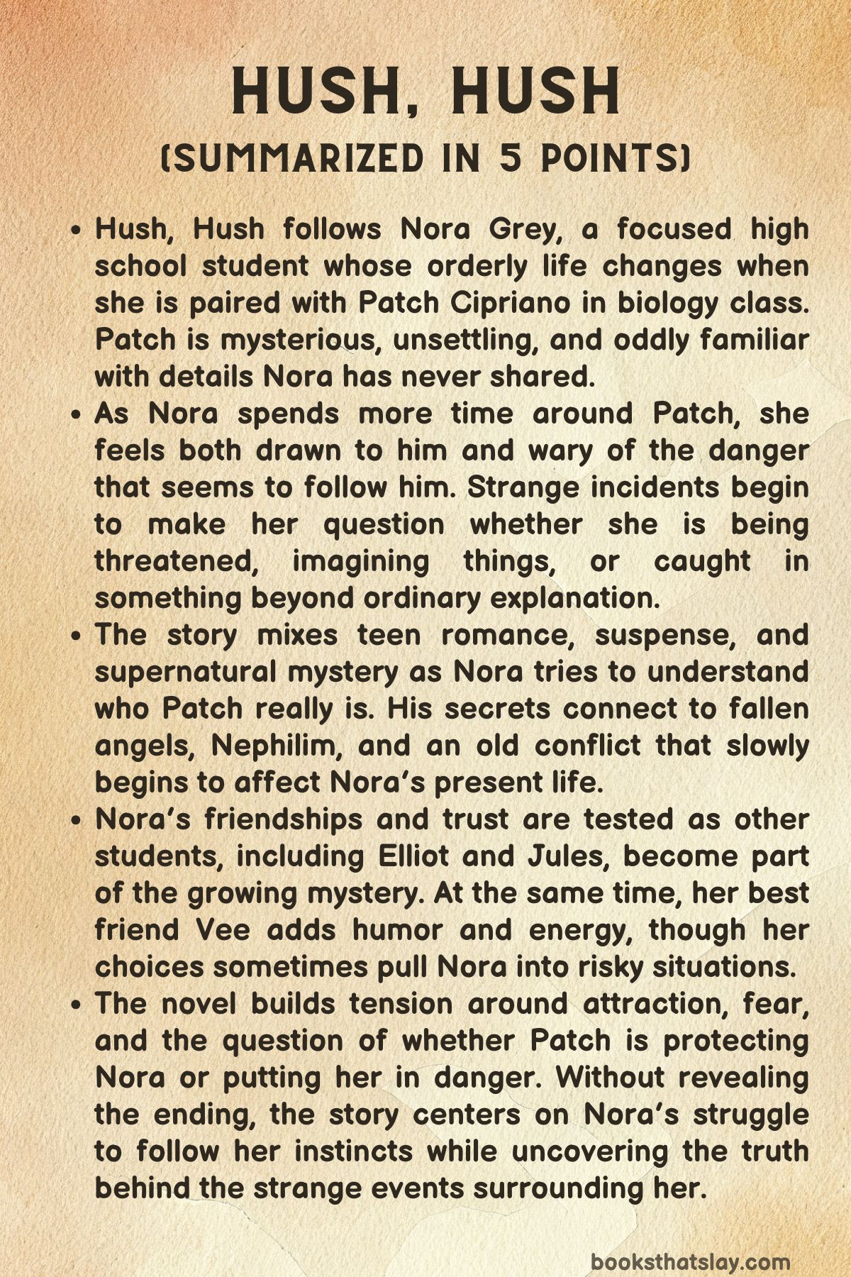 Hush Hush Summary