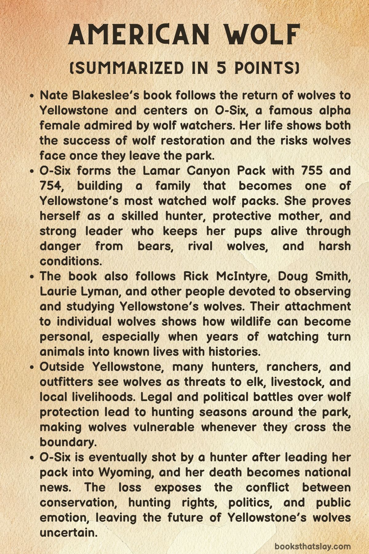 American Wolf Summary