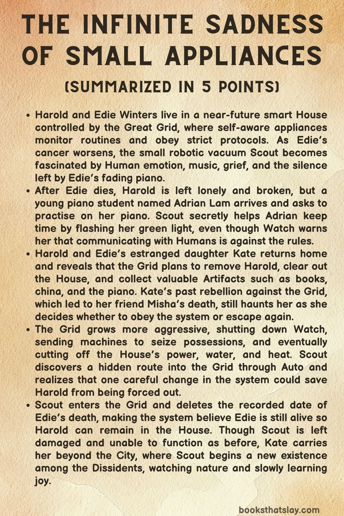 The Infinite Sadness of Small Appliances Summary