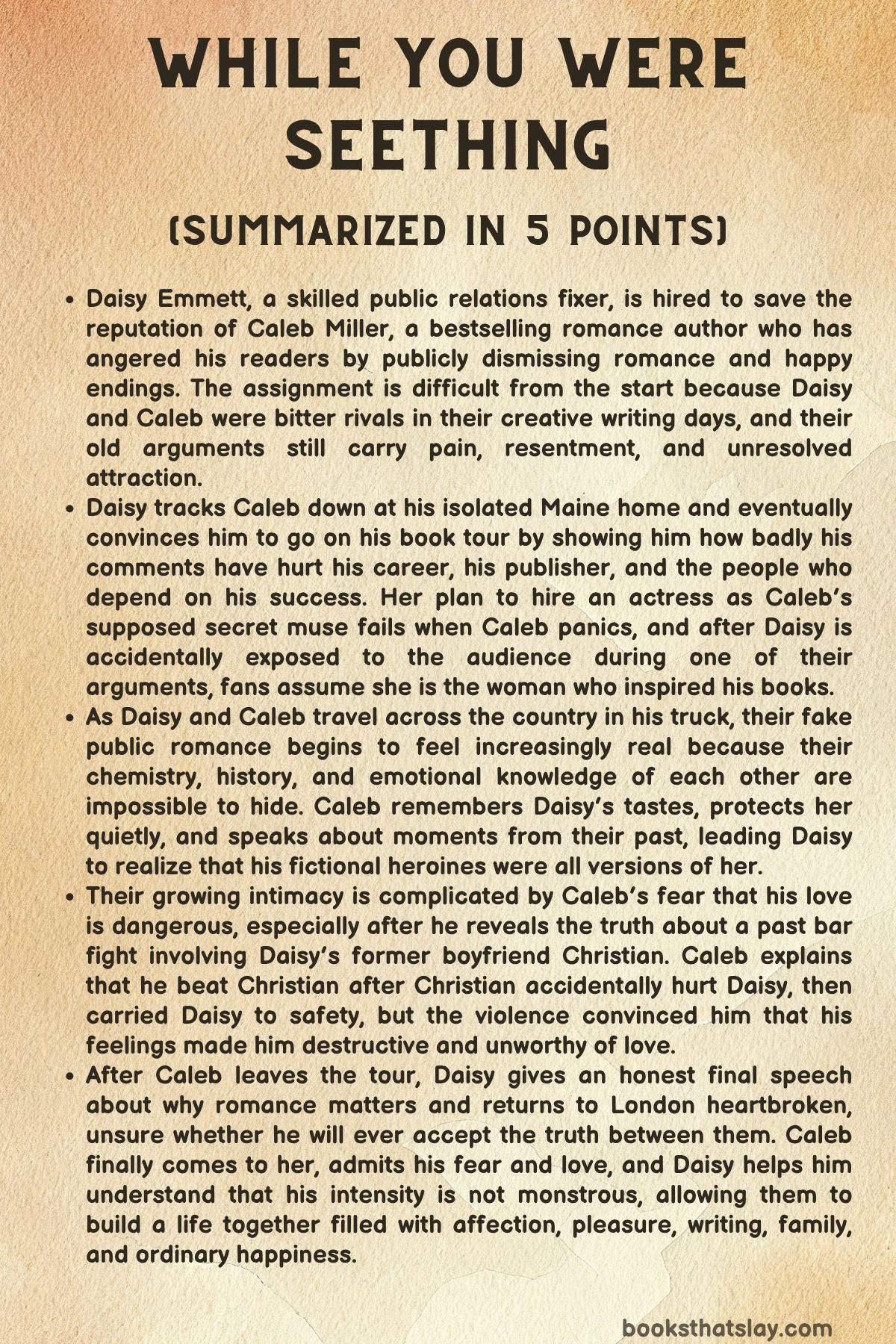 while you were seething summary