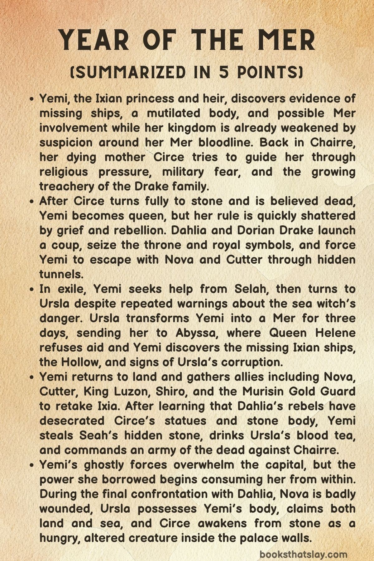 year of the mer summary
